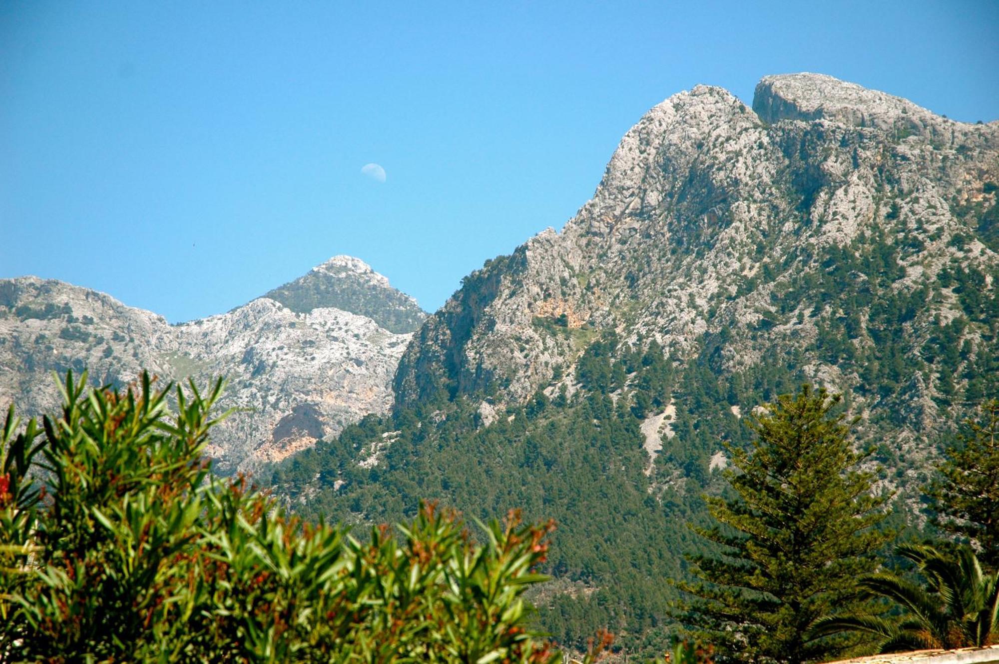 Hotel Can Roses Sóller Εξωτερικό φωτογραφία