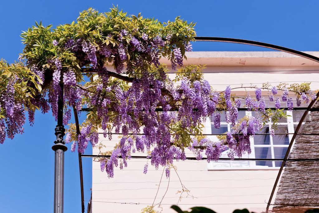 Hotel Can Roses Sóller Εξωτερικό φωτογραφία